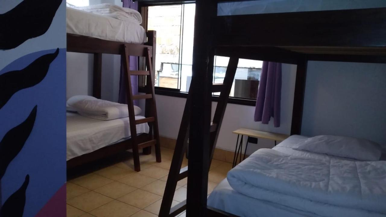 Supertramp Hostel Machupicchu Екстериор снимка